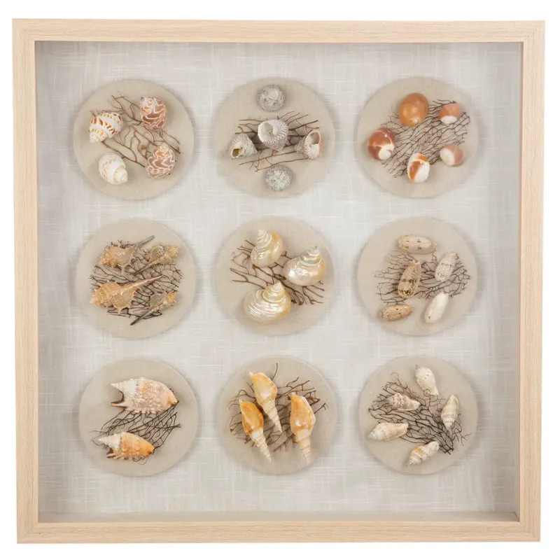 Wandbild – Muschelmotiv, Strukturierte Oberfläche, Natürliche Farbwelt, 60 cm - Beachhouse | Gilde
