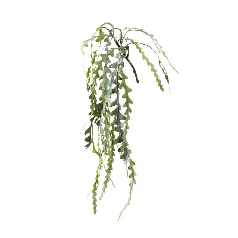 Sukkulentenpflanze – Grünes Hängendes Epiphyllum-Spray aus Kunststoff | PTMD