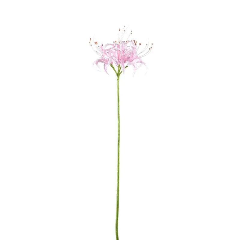 Lilienblume – Rosa Spinnenlilie, Kunststoff, Handgefertigt | PTMD