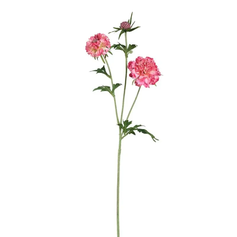 Gartenblume - Rosa Scabiosa Spray mit Knospe, Polyesterstoff, Halbhändig gefertigt | PTMD