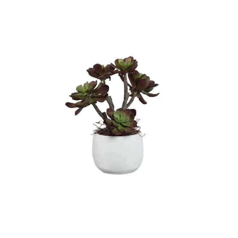 Kunstpflanze - Braune Aeonium, Zementtopf, Kunststoff – M | PTMD