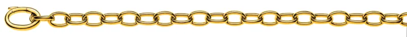 Armband Anker Oval Gelbgold 750 6.0mm 20cm Handarbeit